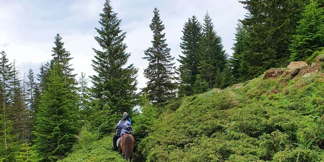 Malibu Horseback Riding Adventure with Lake Views 2 hr - Image 6