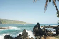 Maui Road to Hana Rainforest and Waterfall Tour thumbnail 6