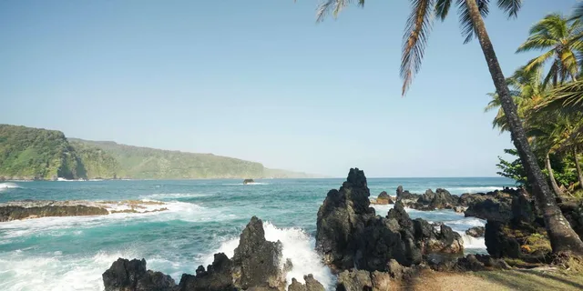 Maui Road to Hana Rainforest and Waterfall Tour - Image 6