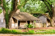New Orleans Oak Alley Plantation Tour 5.5 hr thumbnail 5