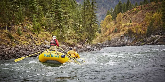 Jackson Snake River Whitewater Rafting Trip - Image 5