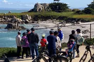Monterey 17-Mile Drive Electric Bike Tour 3 hr thumbnail 6