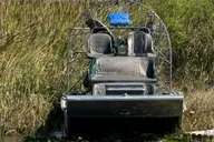 Miami Everglades Private Airboat Tour 4 hr thumbnail 1