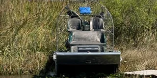 Miami Everglades Private Airboat Tour 4 hr