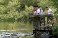 Orlando Gatorland Skip-the-Line Ticket thumbnail 5