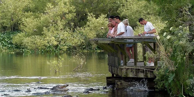 Orlando Gatorland Skip-the-Line Ticket - Image 5