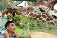 San Francisco Six Flags Discovery Kingdom Admission thumbnail 2