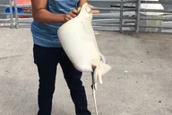 San Diego Pier Fishing Tour thumbnail 3