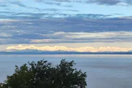 Anchorage Wildlife Tour with Lunch & Beer Tasting thumbnail 6