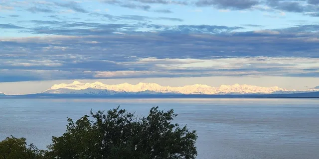 Anchorage Wildlife Tour with Lunch & Beer Tasting - Image 6
