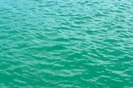 Naples Private Boat Charter with Beach Amenities thumbnail 4