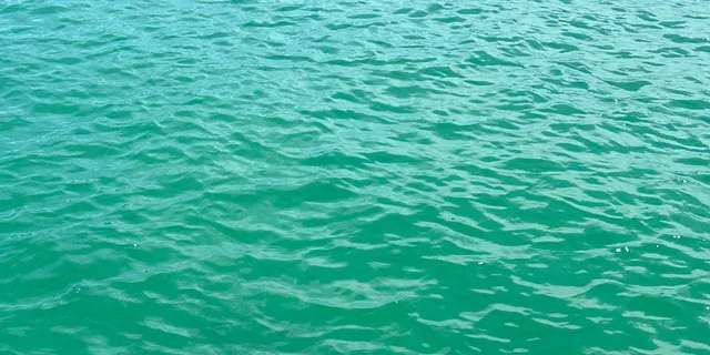 Naples Private Boat Charter with Beach Amenities - Image 4