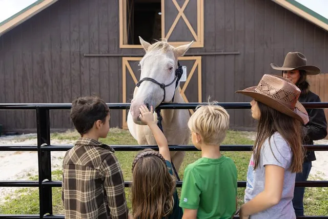 Central Florida Dude Ranch Experience - Image 1