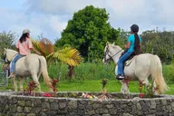 Pāhoa Rainforest Trail Ride thumbnail 1