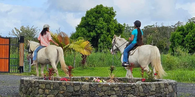 Pāhoa Rainforest Trail Ride - Image 1