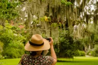 Charleston Magnolia Plantation Tour with Transport thumbnail 3
