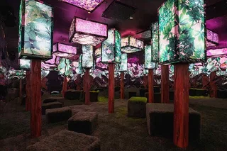 New Jersey Dopamine Land Multisensory Experience