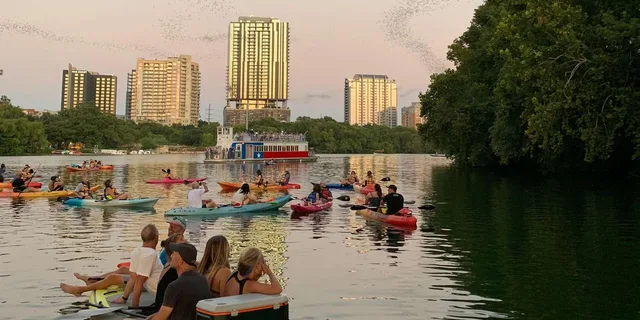 Austin Giant Glow Paddleboarding with Bats 2 hr - Image 3