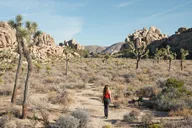 Los Angeles Joshua Tree National Park Private Tour thumbnail 1