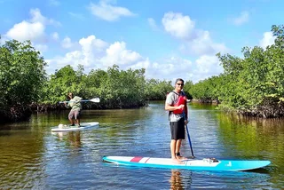 Fort Lauderdale Mangrove SUP Safari 2 hr