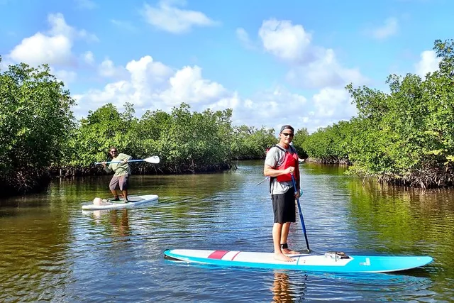 Fort Lauderdale Mangrove SUP Safari 2 hr - Image 1