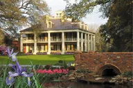 New Orleans Louisiana Plantations Tour with Gourmet Lunch thumbnail 4