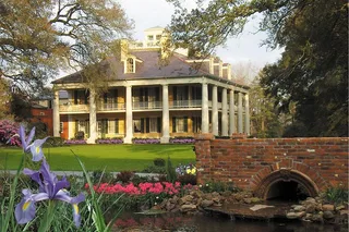 New Orleans Plantation Tour with Gourmet Lunch