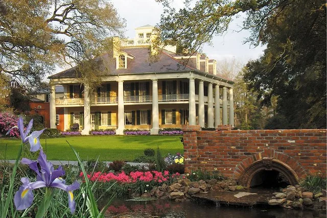 New Orleans Louisiana Plantations Tour with Gourmet Lunch - Image 4