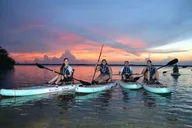 Florida Bioluminescent Kayak and Paddle Board Adventure thumbnail 3
