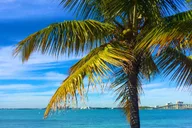 Miami Hobie Cat Sailing Key Biscayne 1 hr thumbnail 3