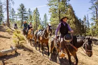 Bryce Canyon Horseback Adventure 6 hr thumbnail 1
