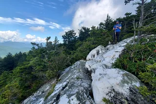 Shining Rock Guided Hike in Blue Ridge Mountains