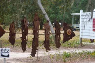 Hilton Head Daufuskie Island History and Artisans Tour 4.5 hr thumbnail 6
