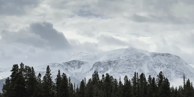 Skagway White Pass & Gold Rush Adventure - Image 2