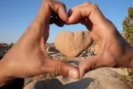 Los Angeles Joshua Tree National Park Adventure thumbnail 4