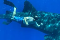 Lahaina Snorkel and SCUBA Adventure thumbnail 1