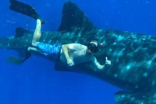 Lahaina Snorkel and SCUBA Adventure