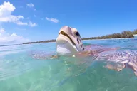 Miami Private Islands Day Trip thumbnail 5
