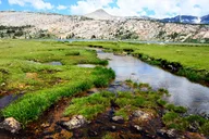 Yosemite Tuolumne Meadows Hiking Tour thumbnail 1