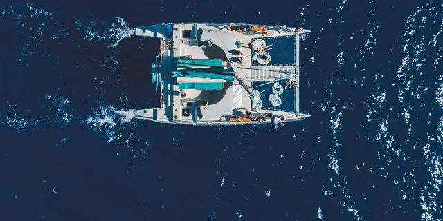 Kaanapali Whale Watching Cruise with Open Bar - Image 5