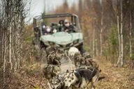 Fairbanks Dog Mushing Fall Adventure thumbnail 6