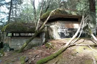 Sitka Kayak Tour of War Bunkers and Wildlife thumbnail 2