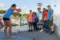 Destin Dolphin Cruise on a Glass-Bottom Boat thumbnail 3
