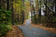 Peachtree City Golf Cart Tour thumbnail 5