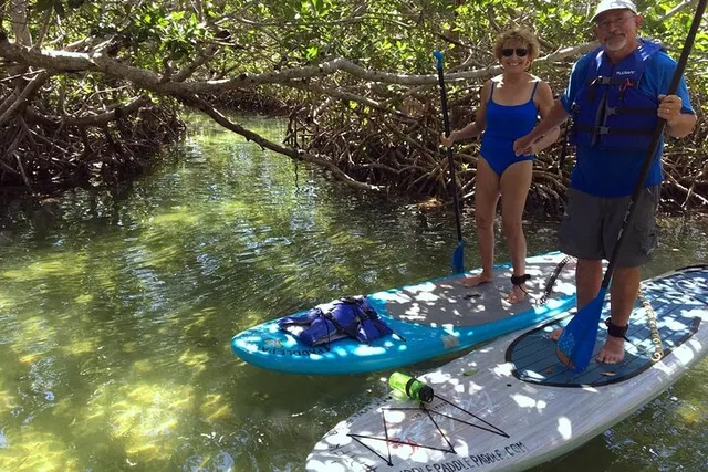 Key Largo Mangrove Kayak Rental - Image 6