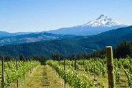 Portland Mt. Hood Loop Tour thumbnail 1