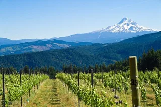 Portland Mt. Hood Loop Tour