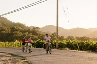 Healdsburg Electric Bike Wine Tour thumbnail 3