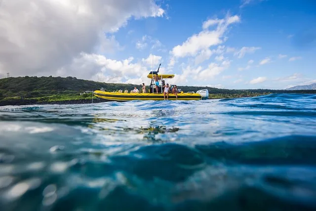 Oahu Snorkeling Tour in North Shore - Image 5