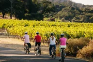 Sonoma Electric Bike Wine Tasting Tour thumbnail 5
